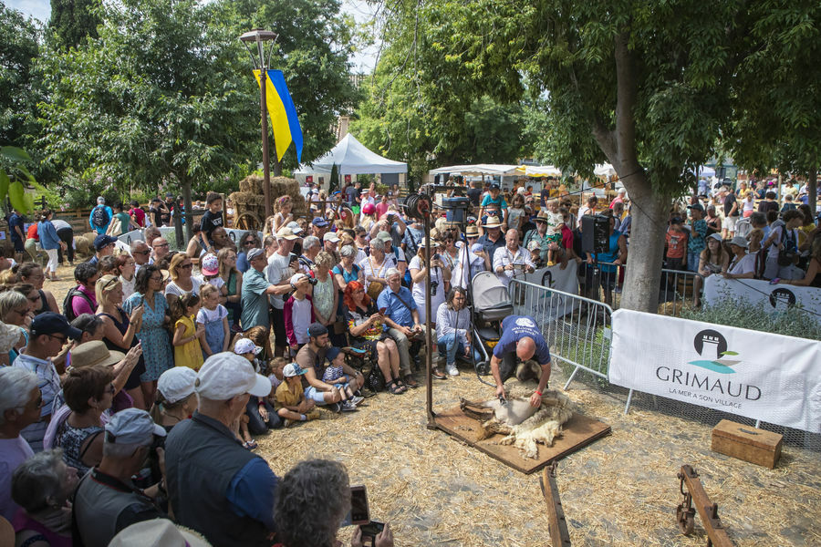 Wool Fair in Grimaud