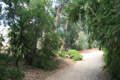 Botanical park