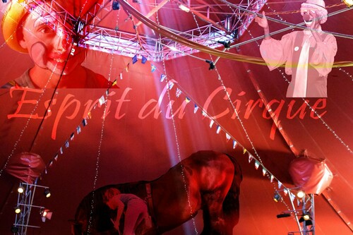 Mercoledì dei bambini - Esprit de Cirque