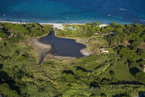 Plage des salins