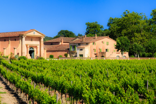 Vignoble Domaine de Bertaud-Belieu