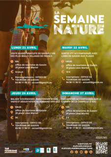 Visite guidée