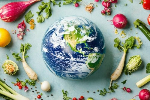 Ateliers cuisine : les saveurs du monde_Sainte-Maxime