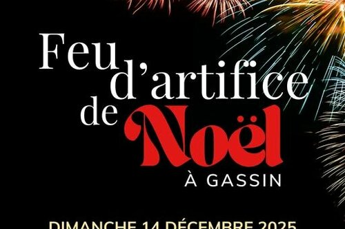 Feu d'artifice de Nël