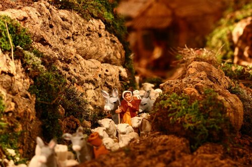 Promenade-découverte : une crèche et 1000 histoires à partager_Sainte-Maxime